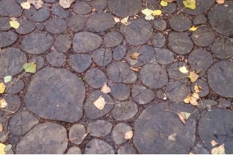 Тротуарна плита Пеньки